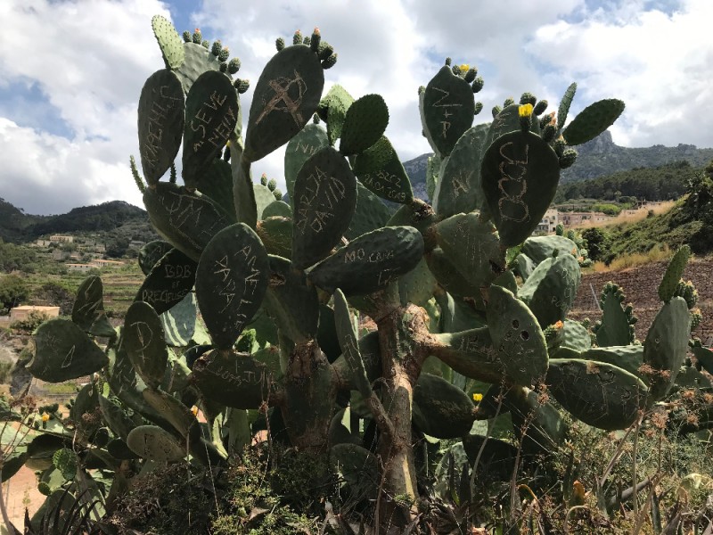 - 27 - Španělský logbook.jpg